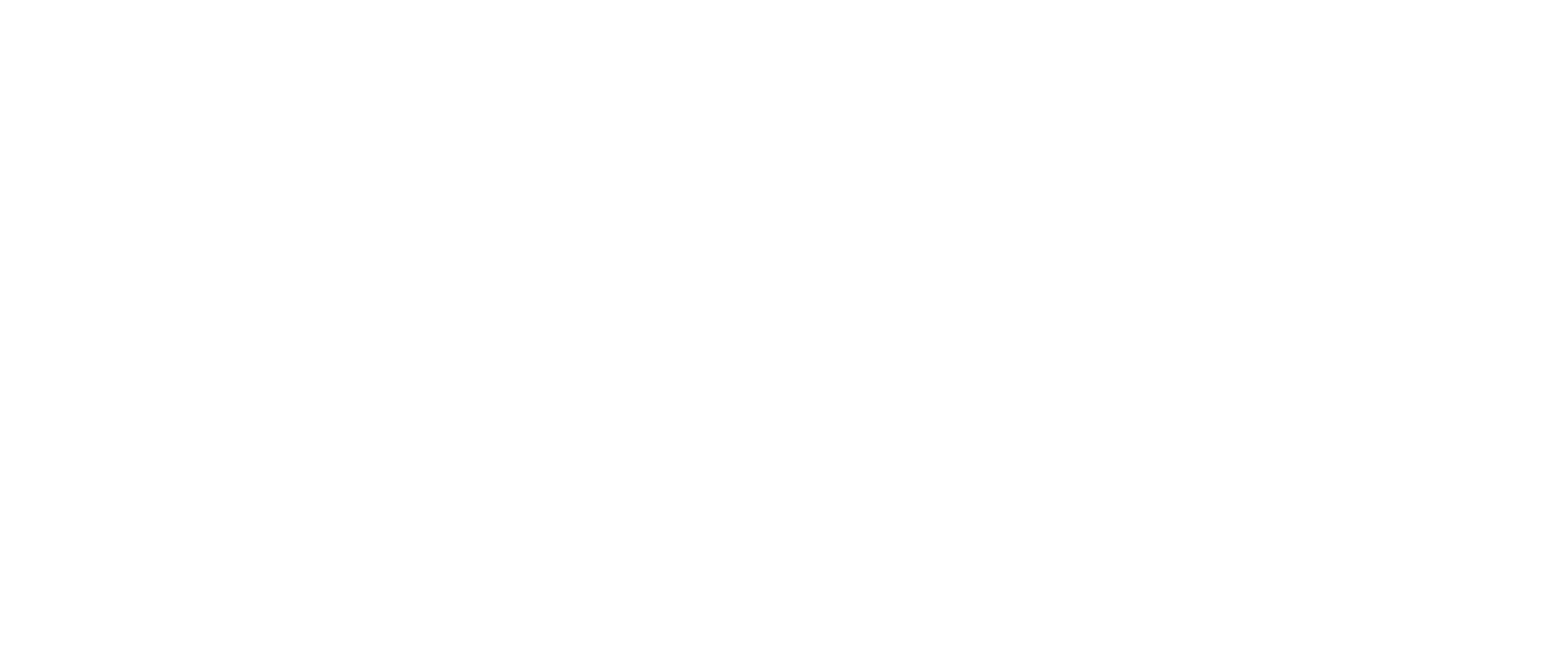 Новый Амстердам — логотип