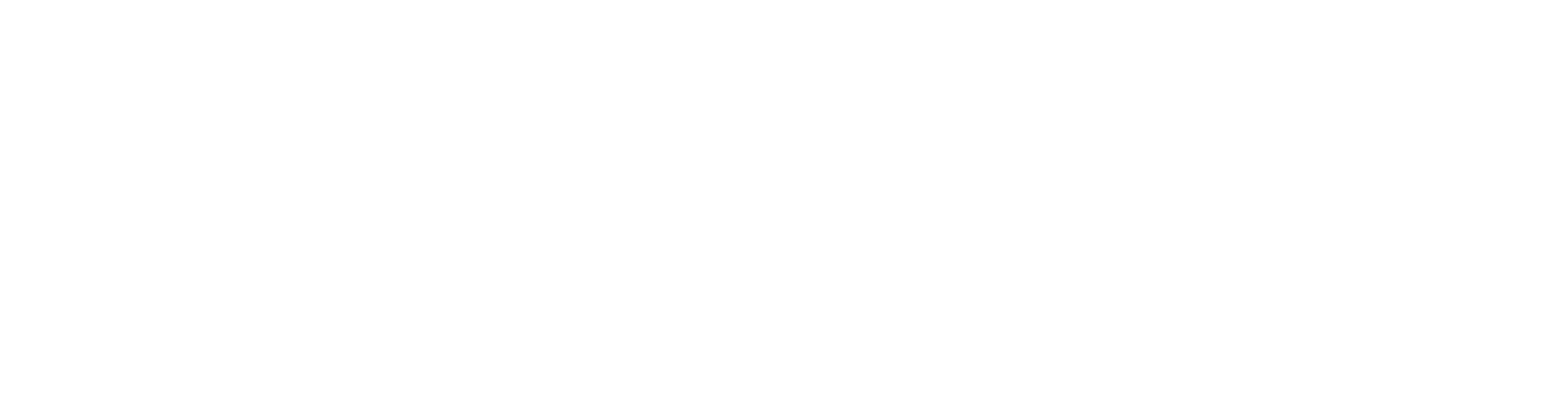Совы охотятся ночью — логотип
