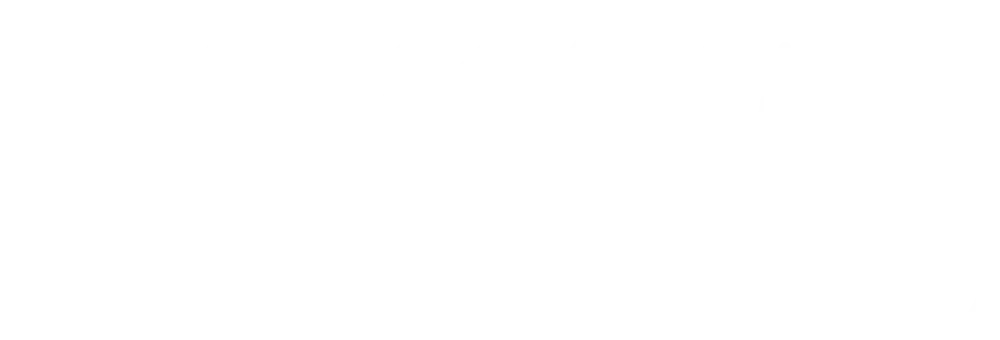 Шпионка — логотип