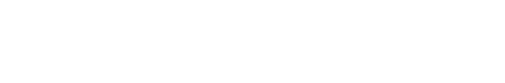 Двойник — логотип