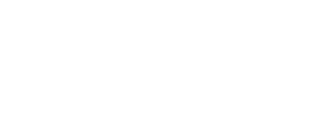 Изобретая Анну — логотип
