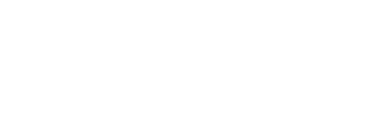 Мыслить как преступник: За границей — логотип