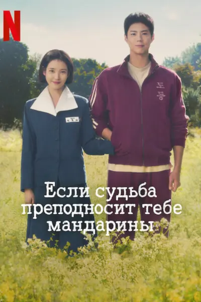Если судьба преподносит тебе мандарины