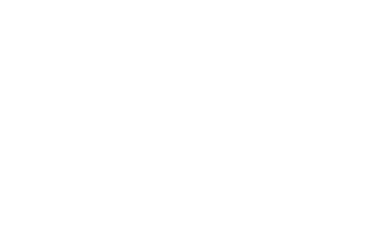 Селена — логотип