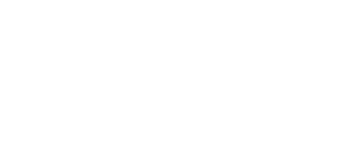 Женщины в синем — логотип