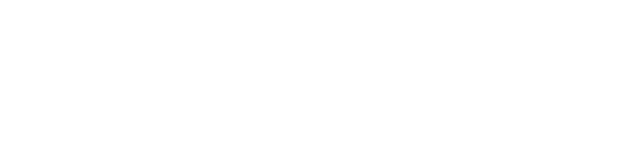 Власть в ночном городе — логотип
