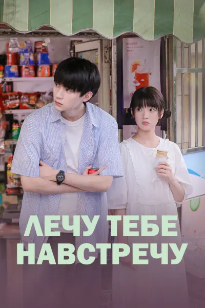 Лечу тебе навстречу