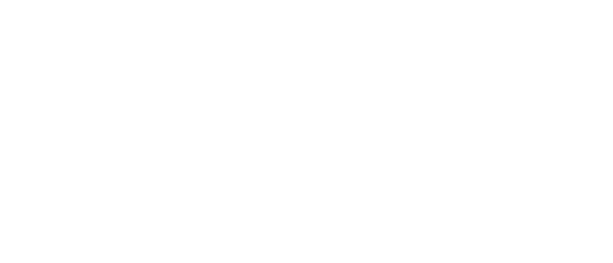 Вторая свадьба — логотип