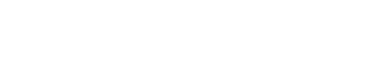 Новая невеста — логотип