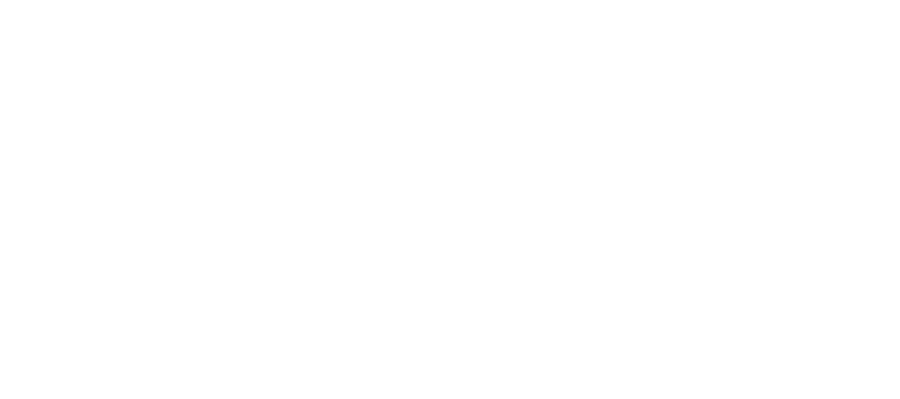 Город шпионов — логотип