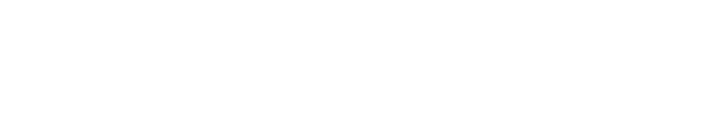 Двойник — логотип