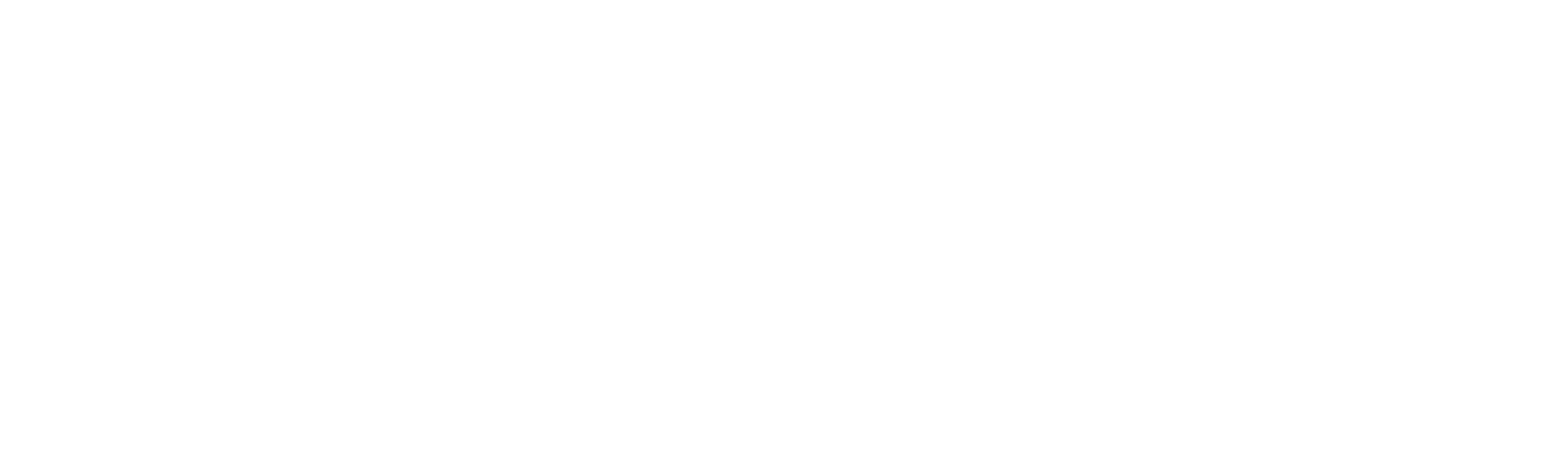 Летучие медики — логотип