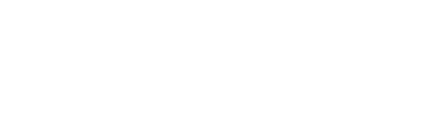 Полет за мечтой — логотип