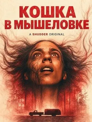 Кошка в мышеловке