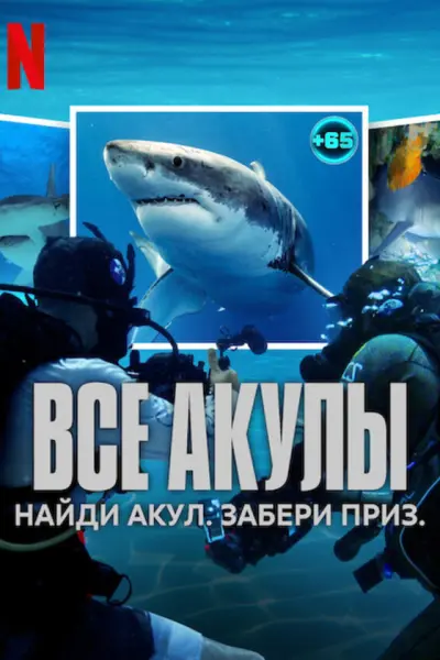 Все акулы