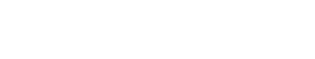Долгий путь Билли Линна в перерыве футбольного матча — логотип