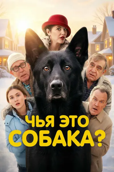 Чья это собака?