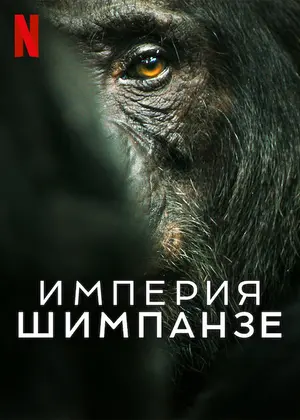 Империя шимпанзе