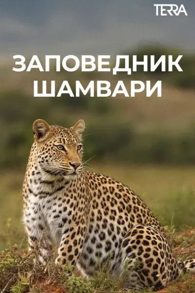 Заповедник Шамвари