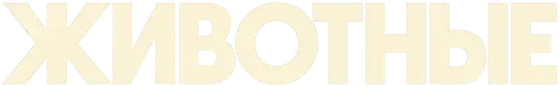 Животные — логотип